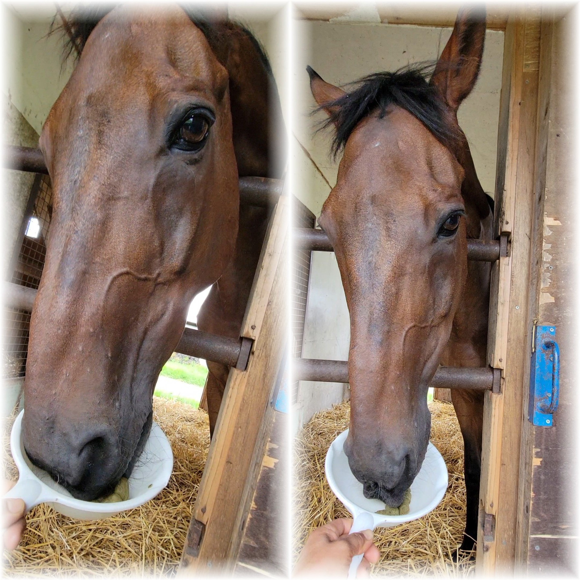 6efa8307c407834b9e4518cee33d0243-1760933717.jpg 6efa8307c407834b9e4518cee33d0243-1760933717.jpg